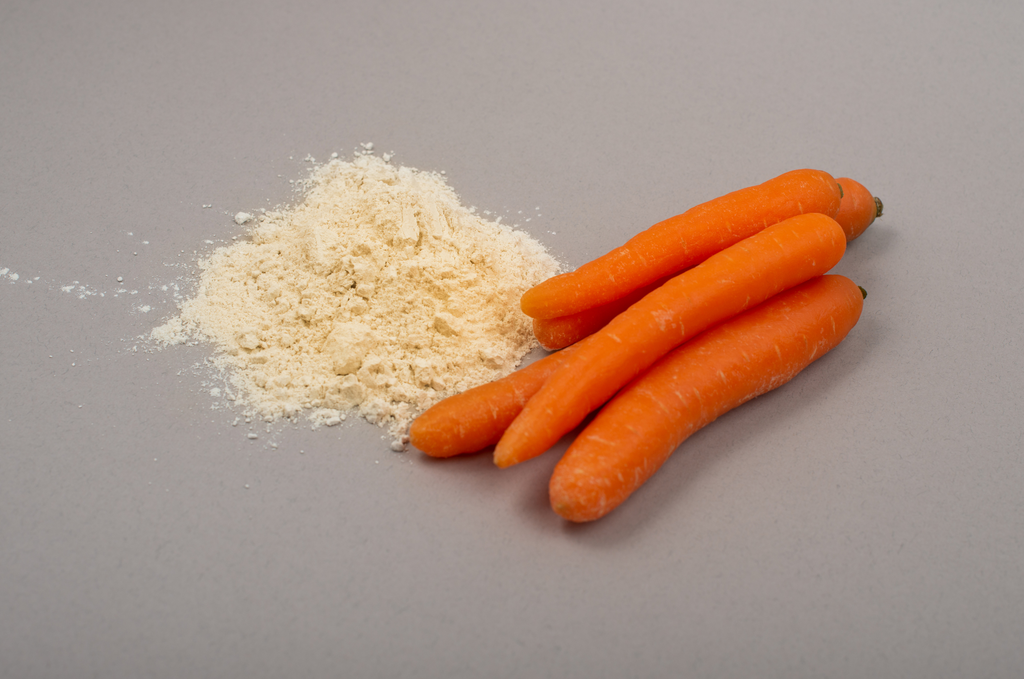 Carrots and a pile of pure organic carrot powder on a gray background